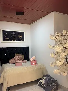 Ambar pe  online show from November 2025 02:32:01 AM