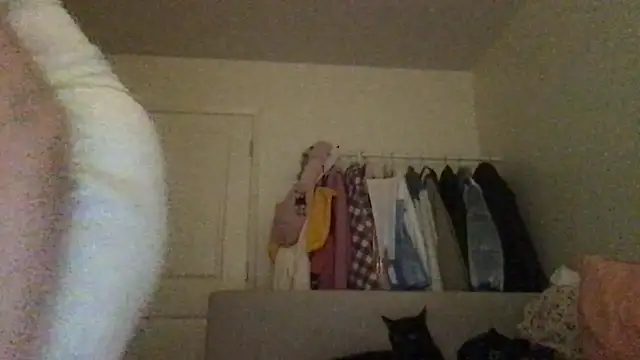 HYPHYtype online show from September 2025 07:44:02 AM