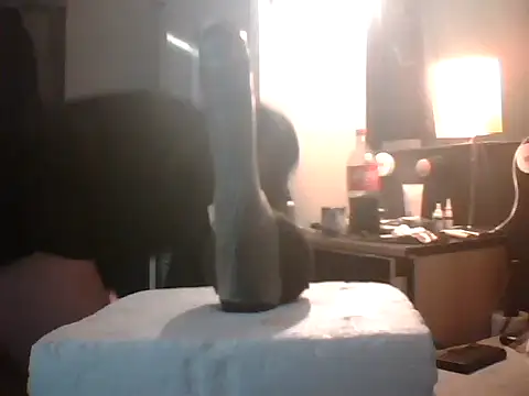 slutviki online show from January 2026 12:12:02 AM