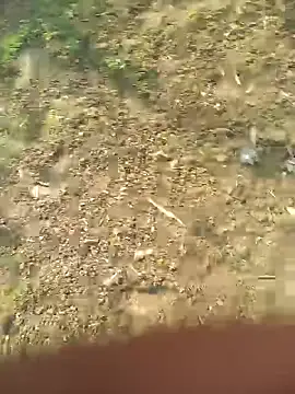 Snapshot of FinableKnee chatting on October 2025 05:11:02 AM FinableKnee online show from October 2025 05:11:02 AM