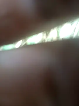 Snapshot of FinableKnee chatting on November 2025 06:34:01 AM FinableKnee online show from November 2025 06:34:01 AM