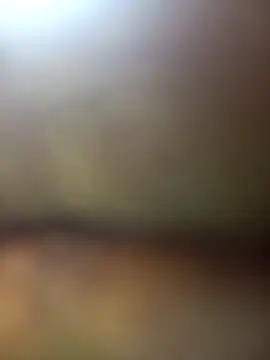 Snapshot of FinableKnee chatting on November 2025 05:31:01 AM FinableKnee online show from November 2025 05:31:01 AM