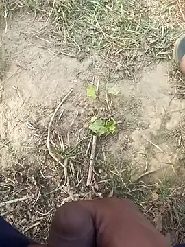 Snapshot of FinableKnee chatting on November 2025 10:07:01 AM FinableKnee online show from November 2025 10:07:01 AM