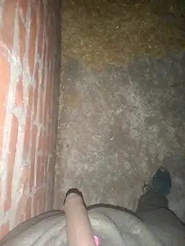 Snapshot of FinableKnee chatting on December 2025 01:49:01 PM FinableKnee online show from December 2025 01:49:01 PM