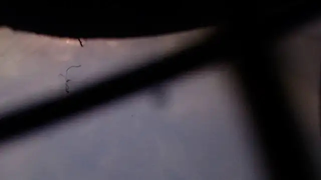 Cordt27 online show from February 2026 04:02:02 PM