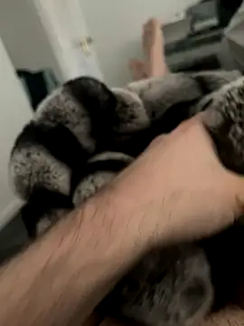 Furdale online show from December 2024 11:33:01 AM