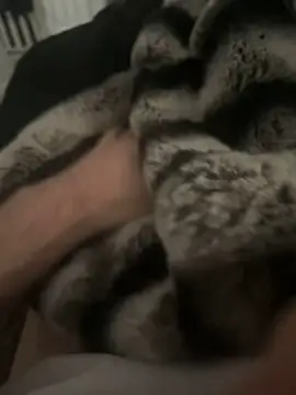 Furdale online show from December 2024 12:43:02 PM