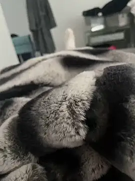 Furdale online show from December 2024 11:56:02 AM