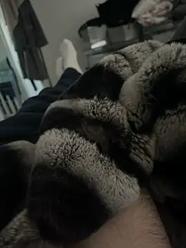 Furdale online show from December 2024 03:00:02 PM