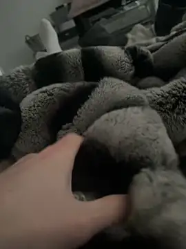 Furdale online show from January 2025 02:51:01 PM