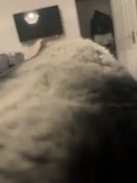 Furdale online show from January 2025 04:08:02 PM