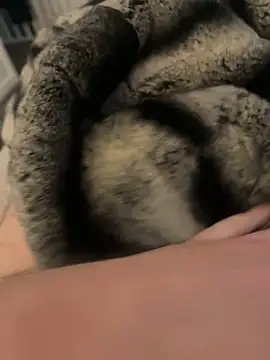 Furdale online show from February 2025 03:09:02 PM