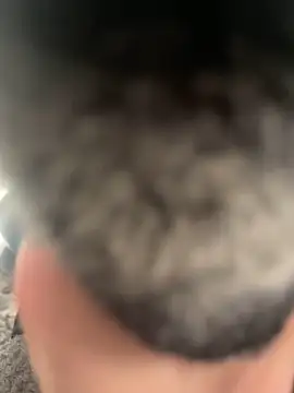 Furdale online show from February 2025 04:40:02 PM