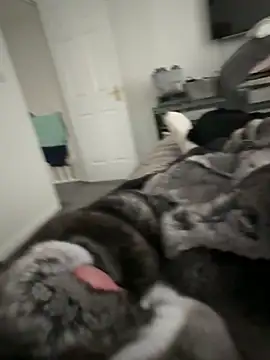 Furdale online show from September 2025 04:20:01 PM