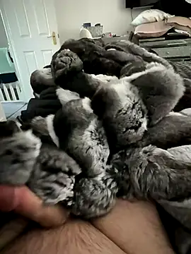 Furdale online show from November 2025 01:29:02 PM