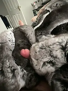 Furdale online show from February 2026 03:10:01 PM