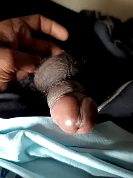 malluflash online show from November 2025 04:04:01 AM