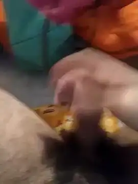 jon763 online show from January 2025 02:45:01 PM