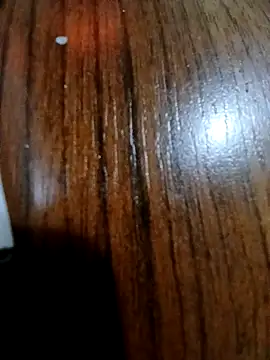 Snapshot of Darkboss31 chatting on February 2025 12:29:01 AM Darkboss31 online show from February 2025 12:29:01 AM