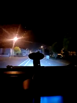 Snapshot of Darkboss31 chatting on October 2025 11:38:01 PM Darkboss31 online show from October 2025 11:38:01 PM