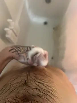 ThatTattooedGuy online show from December 2025 08:52:01 AM