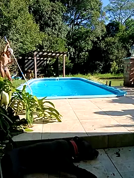 Snapshot of dutra498 chatting on March 2026 07:32:01 PM dutra498 online show from March 2026 07:32:01 PM