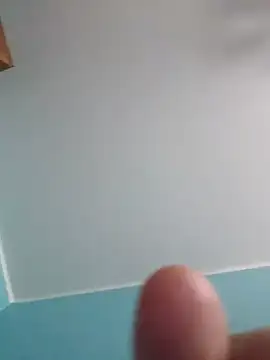 Snapshot of Govora chatting on January 2025 11:01:02 AM Govora online show from January 2025 11:01:02 AM