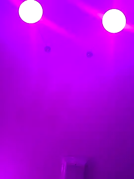 Snapshot of ScarletCallings420 chatting on February 2025 04:15:01 PM ScarletCallings420 online show from February 2025 04:15:01 PM