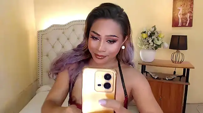 DreamLADYBOY online show from December 2024 11:03:01 PM