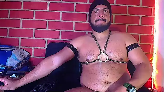 the master foal  online show from January 2025 08:29:01 AM