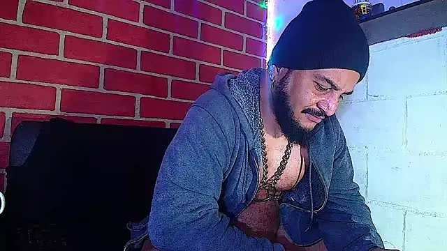 the master foal  online show from January 2025 01:32:02 PM