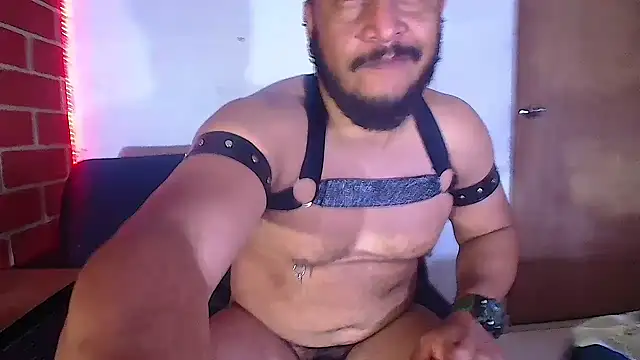 the master foal  online show from February 2025 08:18:02 AM