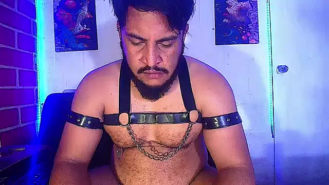 the master foal  online show from February 2025 07:50:01 AM