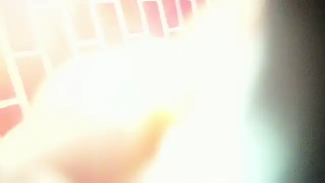 the master foal  online show from March 2025 04:19:01 AM