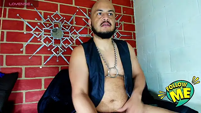 the master foal  online show from October 2025 02:34:01 PM