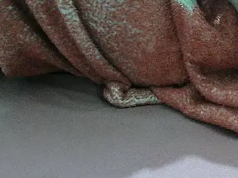 FUN4TIPS online show from March 2025 02:00:01 PM