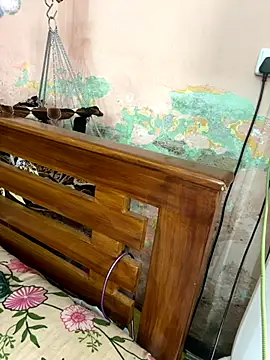 falooda288 online show from October 2025 08:40:01 AM