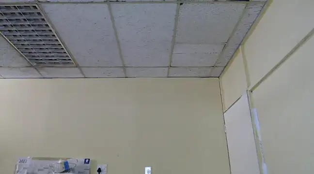 Mydreamgirrl online show from February 2025 11:06:02 AM