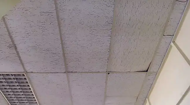 Mydreamgirrl online show from March 2025 01:46:01 PM