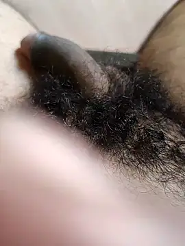 Snapshot of Honestguy100 chatting on November 2025 05:29:02 AM Honestguy100 online show from November 2025 05:29:02 AM