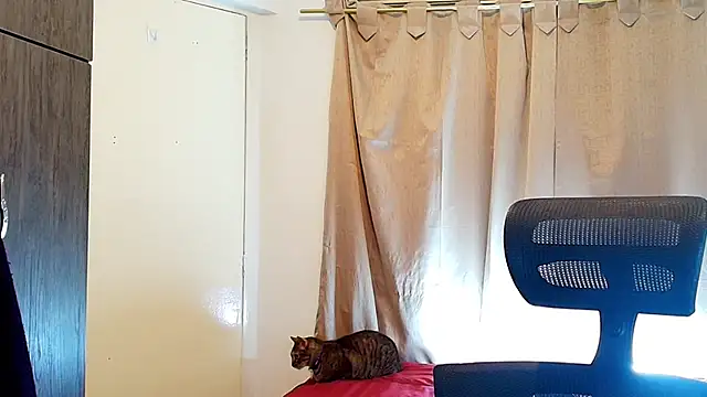 jimmy class online show from December 2025 03:09:02 PM