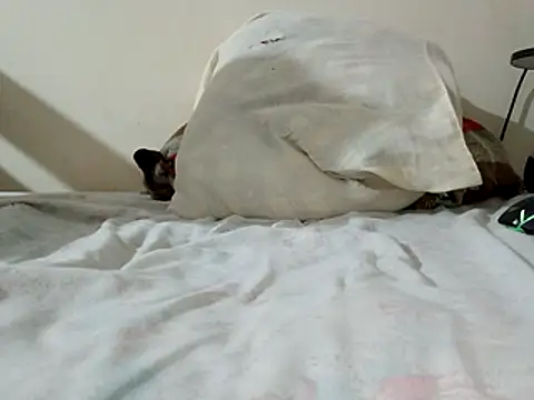 JamesQuaresma online show from February 2026 03:39:02 PM