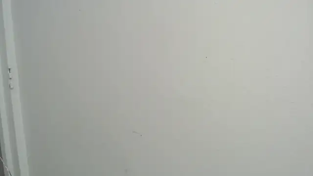 amy le01 online show from February 2025 04:37:01 PM