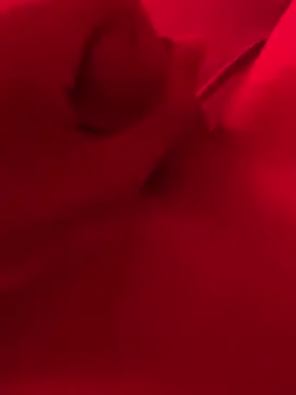 xsanchx online show from March 2025 11:01:02 AM