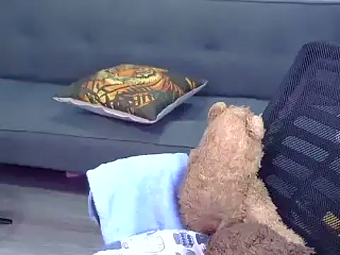 Bee 2k online show from February 2026 05:02:01 AM