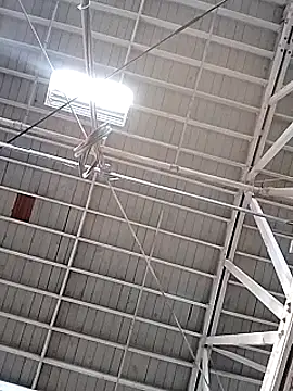 Daddy hook online show from December 2024 03:17:01 PM