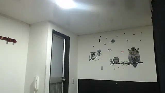 Snapshot of stifen_ chatting on January 2025 03:41:01 AM stifen online show from January 2025 03:41:01 AM