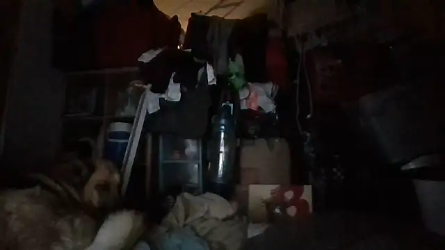 brandonontop online show from February 2026 03:00:02 AM