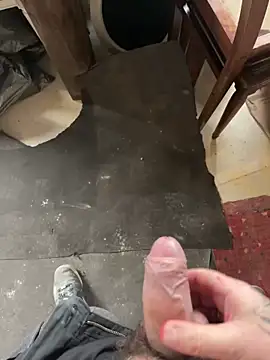 Snapshot of RenaudS-02 chatting on December 2024 01:43:01 PM RenaudS-02 online show from December 2024 01:43:01 PM