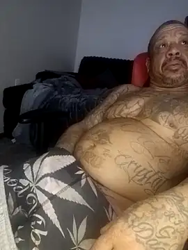 Snapshot of yellowwetfox chatting on February 2026 04:49:02 AM yellowwetfox online show from February 2026 04:49:02 AM